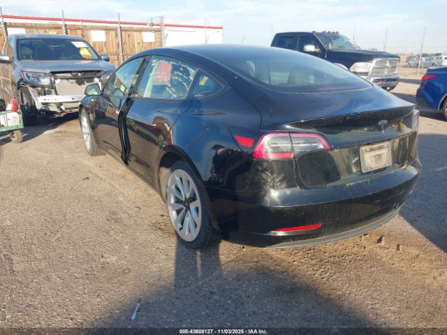 2023 TESLA MODEL 3 5YJ3E1EA4PF436870 Photo 2