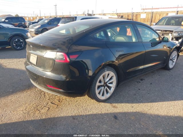 2023 TESLA MODEL 3 5YJ3E1EA4PF436870 Photo 3