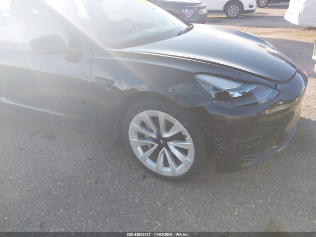 2023 TESLA MODEL 3 5YJ3E1EA4PF436870 Photo 5