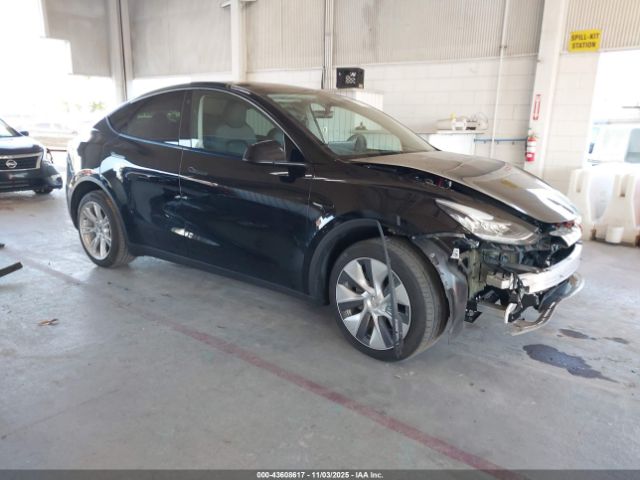 2023 TESLA MODEL Y 7SAYGDEE1PA093228 Photo 0