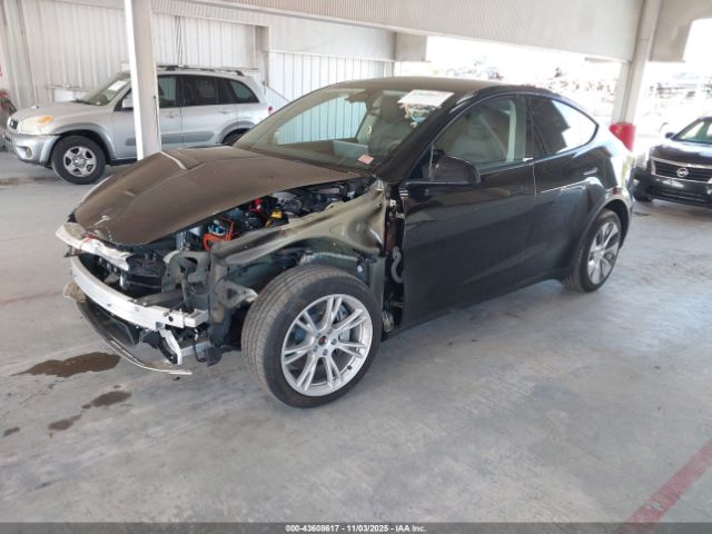 2023 TESLA MODEL Y 7SAYGDEE1PA093228 Photo 1