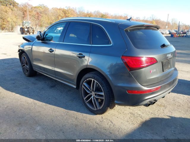 2015 AUDI SQ5 WA1CGAFPXFA012141 Photo 2