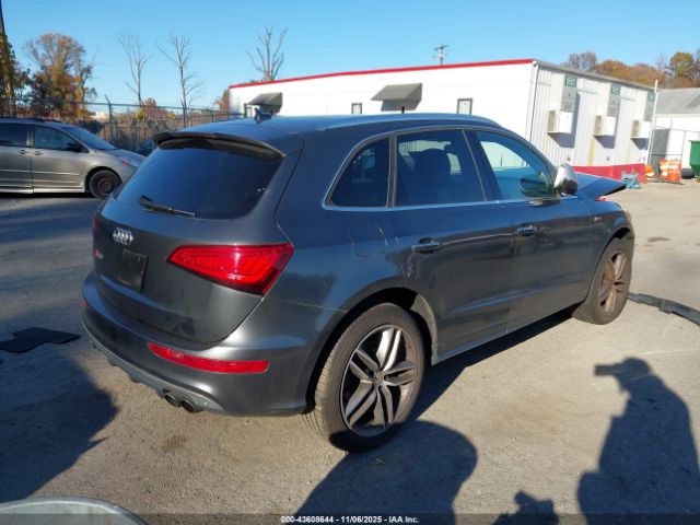 2015 AUDI SQ5 WA1CGAFPXFA012141 Photo 3