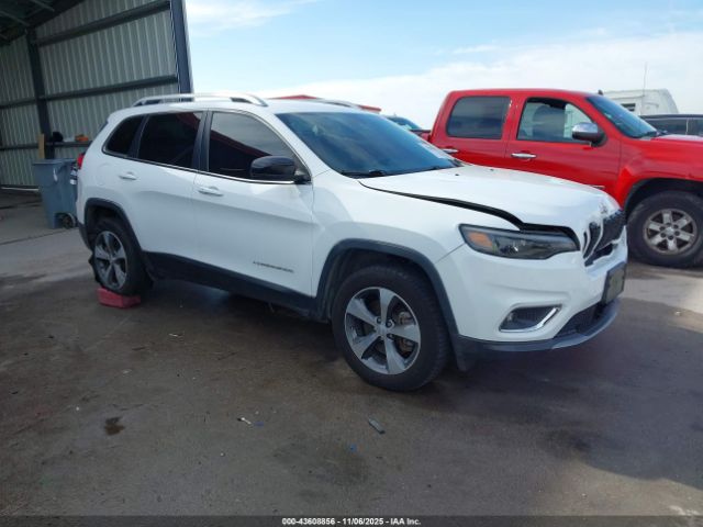 2019 JEEP CHEROKEE 1C4PJMDX7KD418559