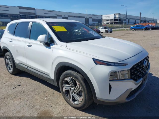2023 HYUNDAI SANTA FE 5NMS14AJ6PH647310