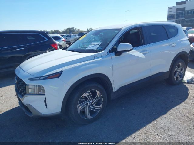 2023 HYUNDAI SANTA FE 5NMS14AJ6PH647310 Photo 1