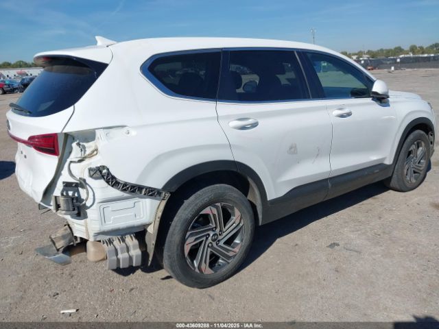2023 HYUNDAI SANTA FE 5NMS14AJ6PH647310 Photo 3