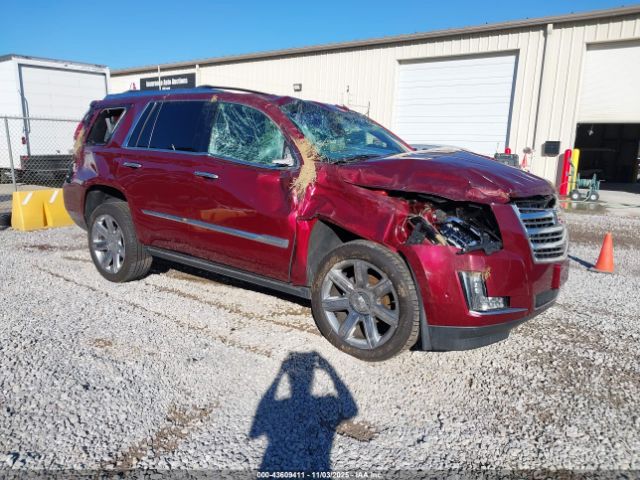 2017 CADILLAC ESCALADE 1GYS4DKJ0HR299257