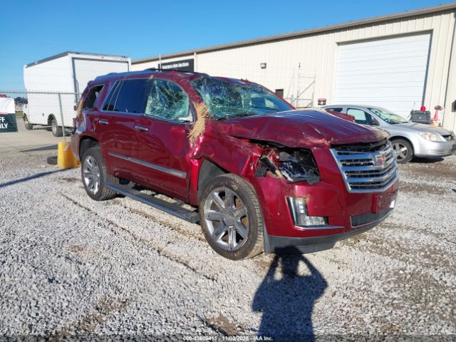 2017 CADILLAC ESCALADE 1GYS4DKJ0HR299257 Photo 5
