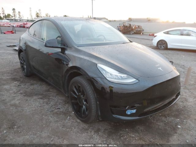 2021 TESLA MODEL Y 5YJYGDEE2MF222671