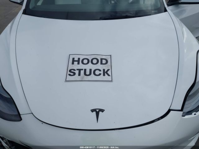 2022 TESLA MODEL 3 5YJ3E1EB9NF251056 Photo 9