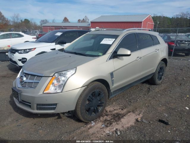 2010 CADILLAC SRX 3GYFNDEY5AS641019 Photo 1