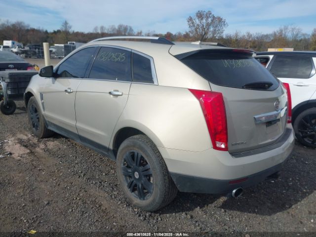 2010 CADILLAC SRX 3GYFNDEY5AS641019 Photo 2