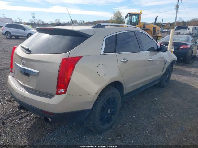 2010 CADILLAC SRX 3GYFNDEY5AS641019 Photo 3