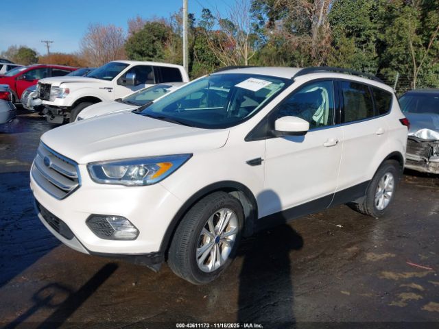2019 FORD ESCAPE 1FMCU0HD1KUB46486 Photo 1