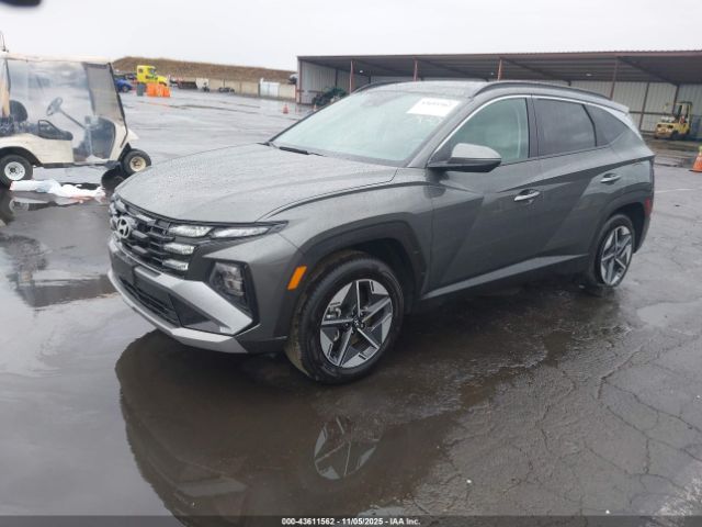 2025 HYUNDAI TUCSON HYBRID KM8JCDD19SU280563 Photo 1