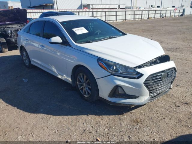 2019 HYUNDAI SONATA 5NPE24AF8KH745594