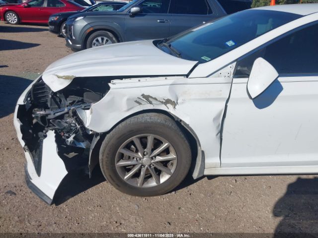 2019 HYUNDAI SONATA 5NPE24AF8KH745594 Photo 5