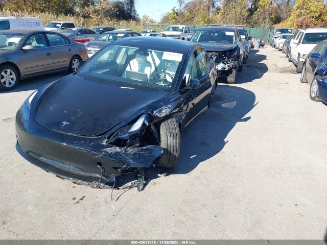 2023 TESLA MODEL 3 5YJ3E1EB1PF599646 Photo 1