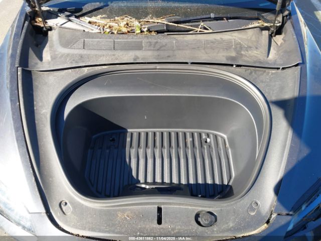 2025 TESLA MODEL 3 5YJ3E1EA7SF904003 Photo 9