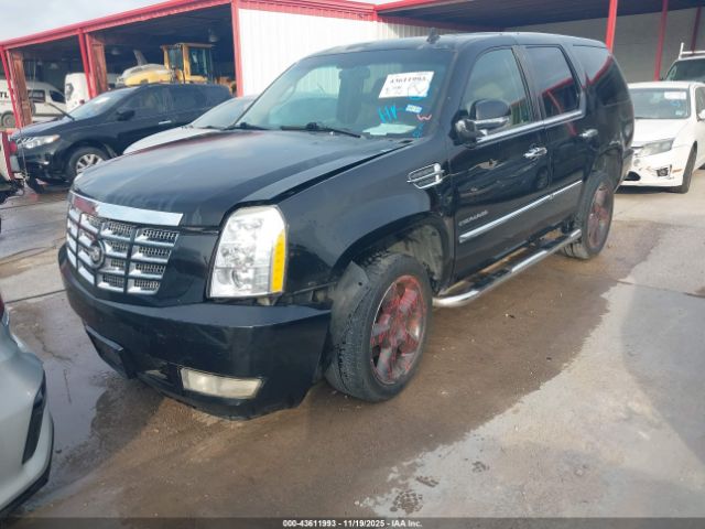 2009 CADILLAC ESCALADE 1GYFK23239R295904 Photo 1