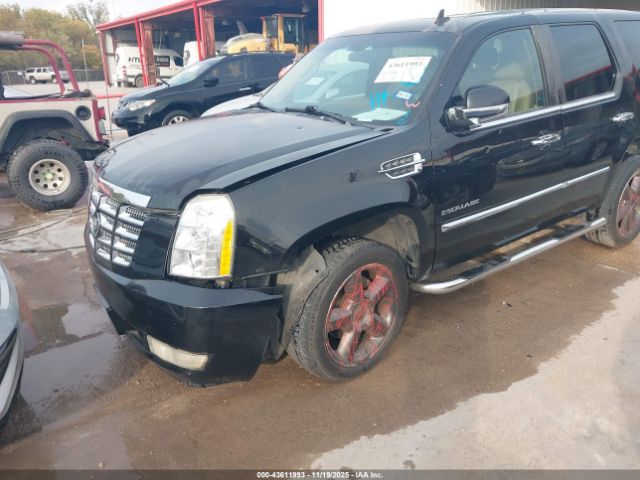 2009 CADILLAC ESCALADE 1GYFK23239R295904 Photo 5