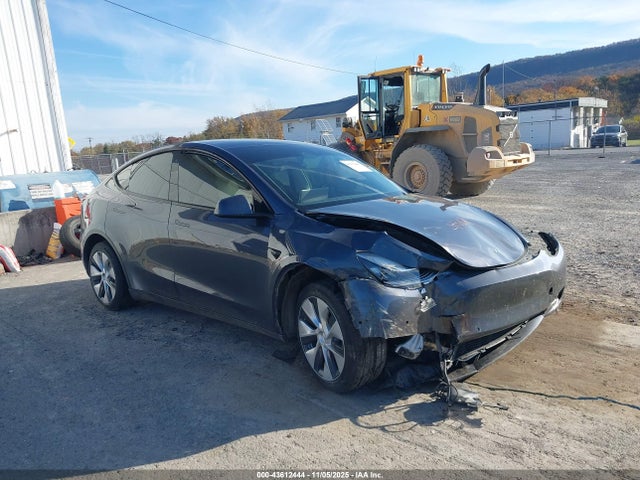 2023 TESLA MODEL Y 7SAYGAEE0PF582530 Photo 0
