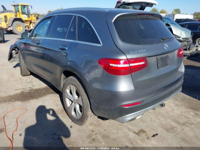 2017 MERCEDES-BENZ GLC 300 WDC0G4KB0HF138612 Photo 2