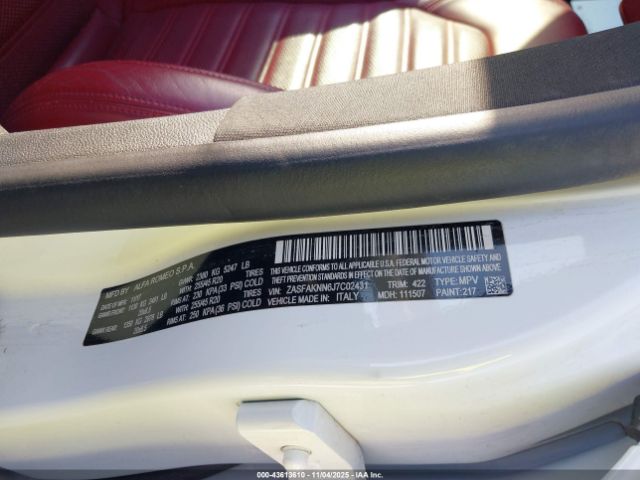 2018 ALFA ROMEO STELVIO ZASFAKNN6J7C02431 Photo 8