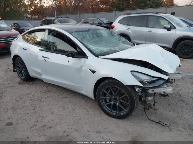 2023 TESLA MODEL 3 5YJ3E1EA3PF438755 Photo 0