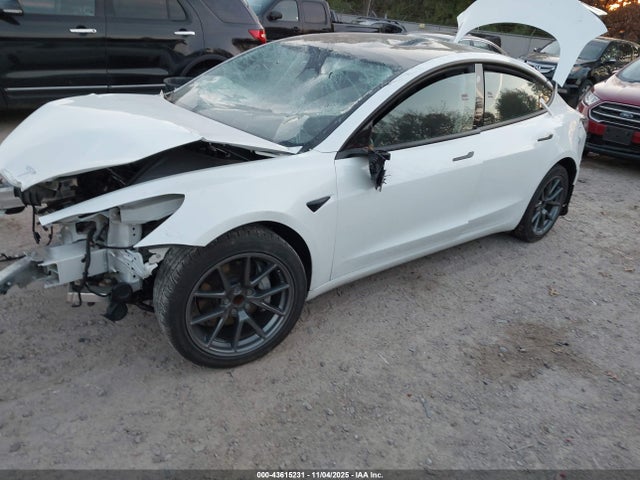 2023 TESLA MODEL 3 5YJ3E1EA3PF438755 Photo 1