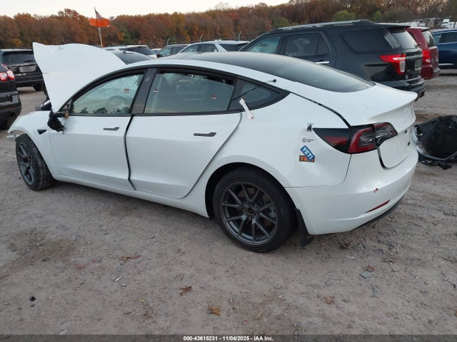 2023 TESLA MODEL 3 5YJ3E1EA3PF438755 Photo 2