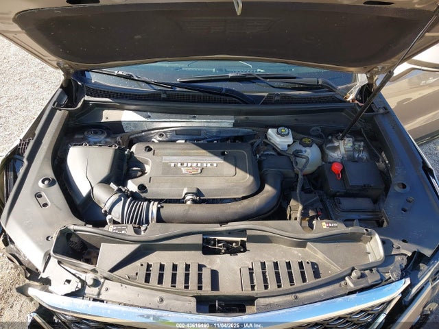 2024 CADILLAC XT4 1GYFZDR41RF202136 Photo 9