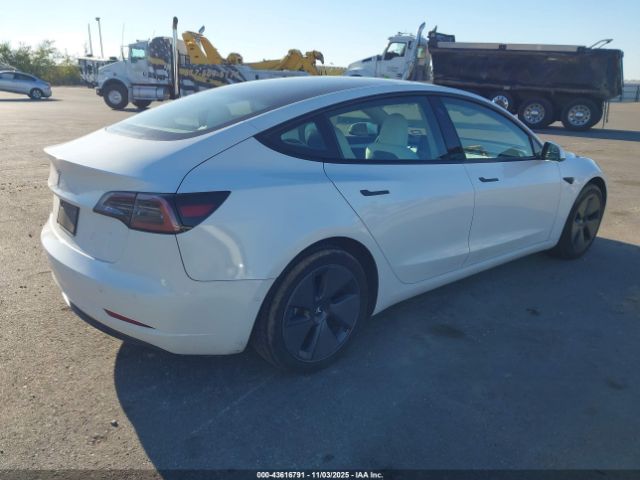 2023 TESLA MODEL 3 5YJ3E1EA2PF563391 Photo 3