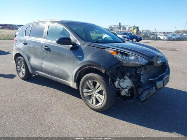 2017 KIA SPORTAGE KNDPMCAC6H7033200