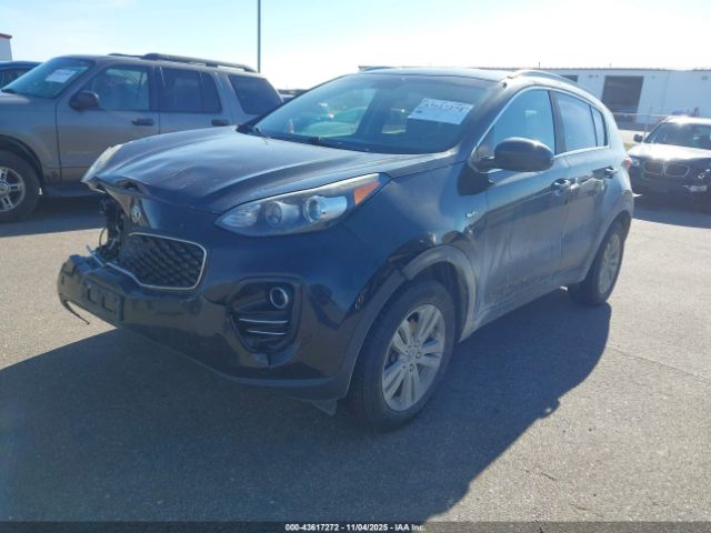 2017 KIA SPORTAGE KNDPMCAC6H7033200 Photo 1