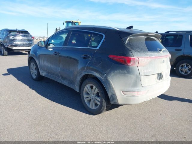 2017 KIA SPORTAGE KNDPMCAC6H7033200 Photo 2