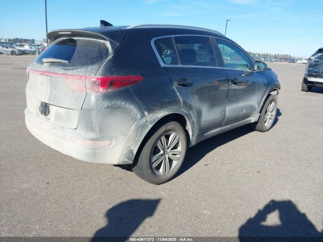 2017 KIA SPORTAGE KNDPMCAC6H7033200 Photo 3