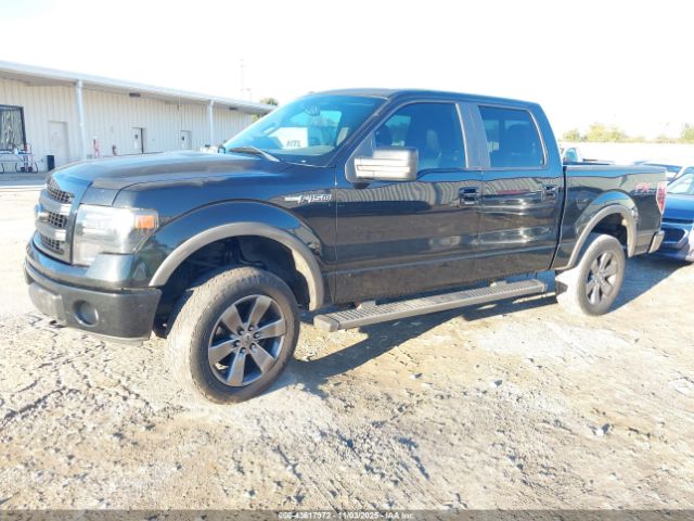 2013 FORD F-150 1FTFW1EF4DFA42301 Photo 1