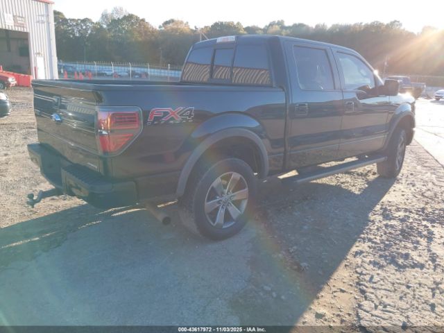 2013 FORD F-150 1FTFW1EF4DFA42301 Photo 3