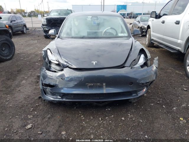 2023 TESLA MODEL 3 5YJ3E1EA2PF679061 Photo 5