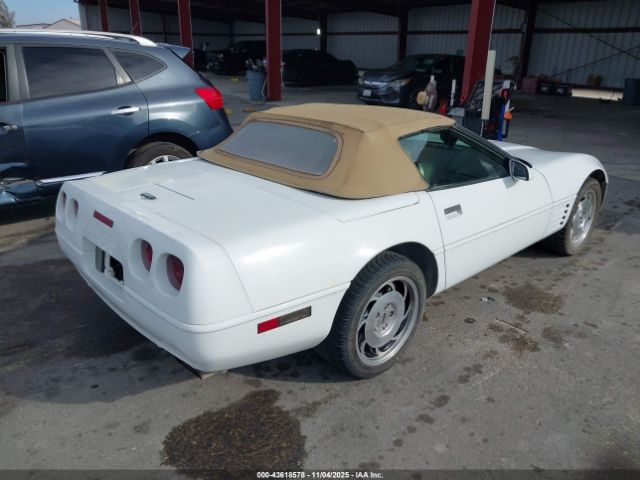 1994 CHEVROLET CORVETTE 1G1YY32P1R5102357 Photo 3