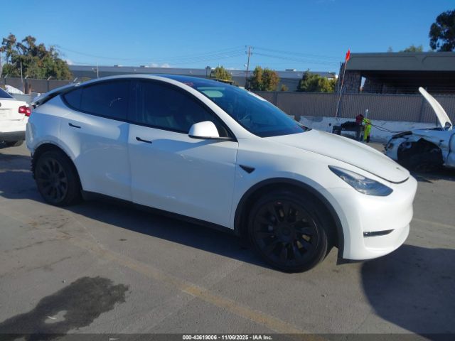 2021 TESLA MODEL Y 5YJYGDEE9MF115438 Photo 0