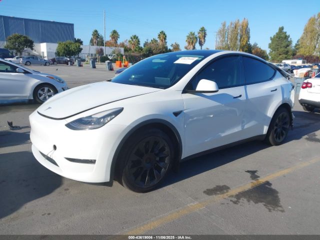 2021 TESLA MODEL Y 5YJYGDEE9MF115438 Photo 1