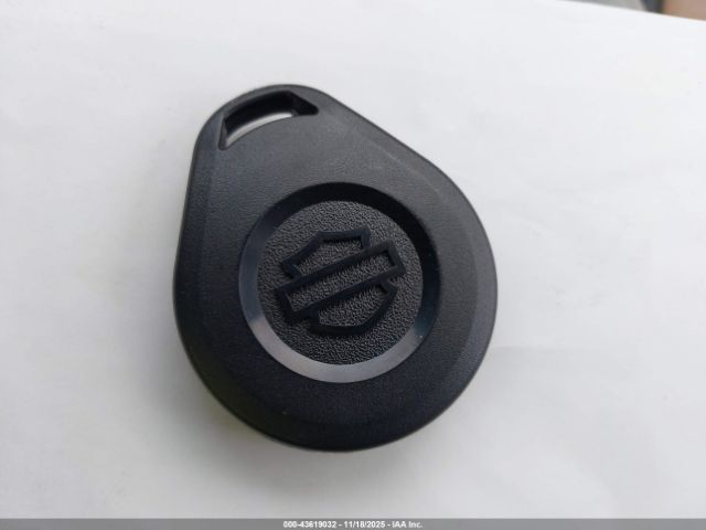 2007 HARLEY-DAVIDSON FLHRCI 1HD1FR4317Y605280 Photo 10