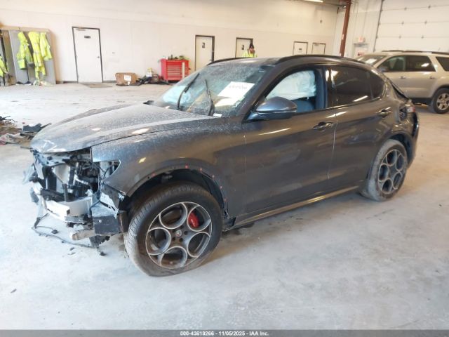 2020 ALFA ROMEO STELVIO ZASPAKAN9L7C84748 Photo 1