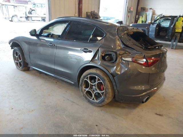 2020 ALFA ROMEO STELVIO ZASPAKAN9L7C84748 Photo 2