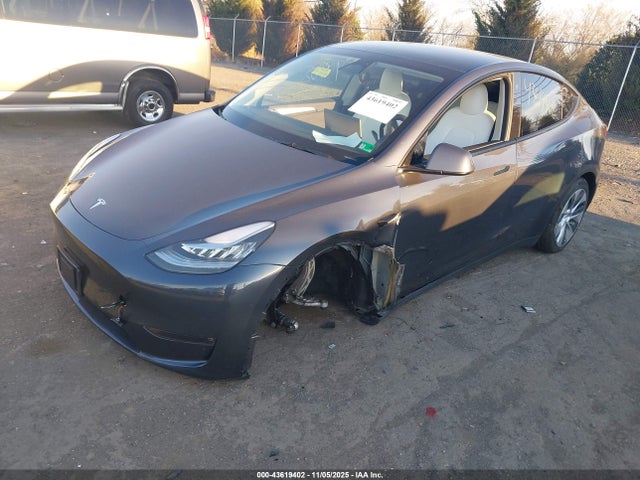 2023 TESLA MODEL Y 7SAYGDEE0PF615379 Photo 1