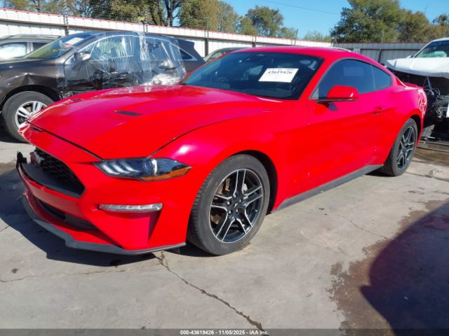 2023 FORD MUSTANG 1FA6P8TH8P5105555 Photo 1