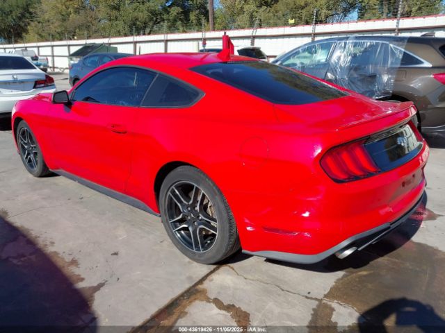 2023 FORD MUSTANG 1FA6P8TH8P5105555 Photo 2